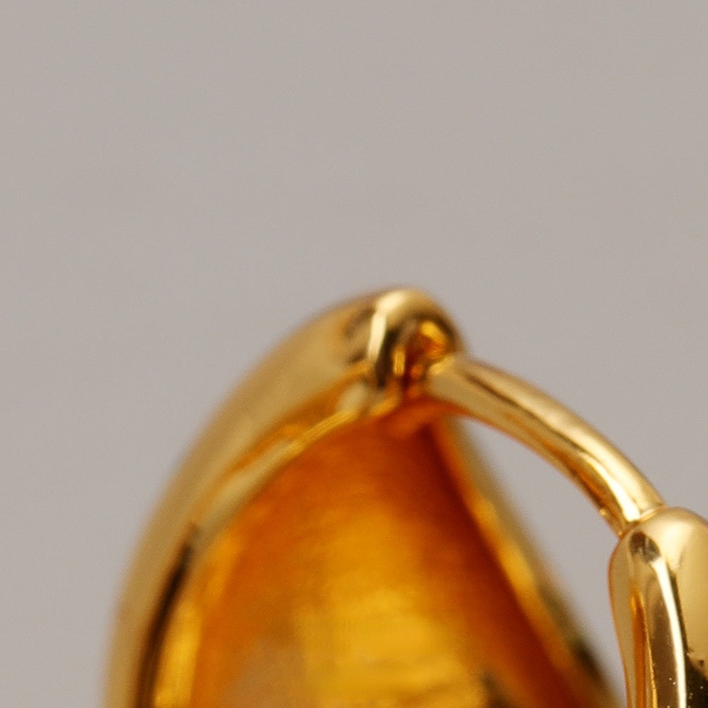 ALODIA ELEGANT EARRING IN BRASS WITH 18K GOLD FINISH