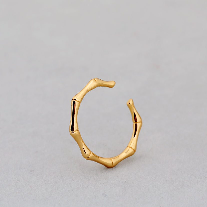 ALODIA  BAMBOO RING IN BRASS WITH 18K GOLD FINISH 