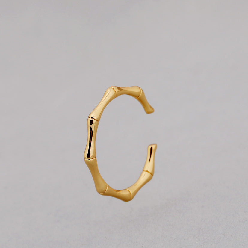 ALODIA  BAMBOO RING IN BRASS WITH 18K GOLD FINISH 